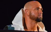Karl Anderson's Relationship with Wife Christine Bui Allegra - Details of Their Married Life!